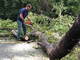  , USA Tree Services Pros